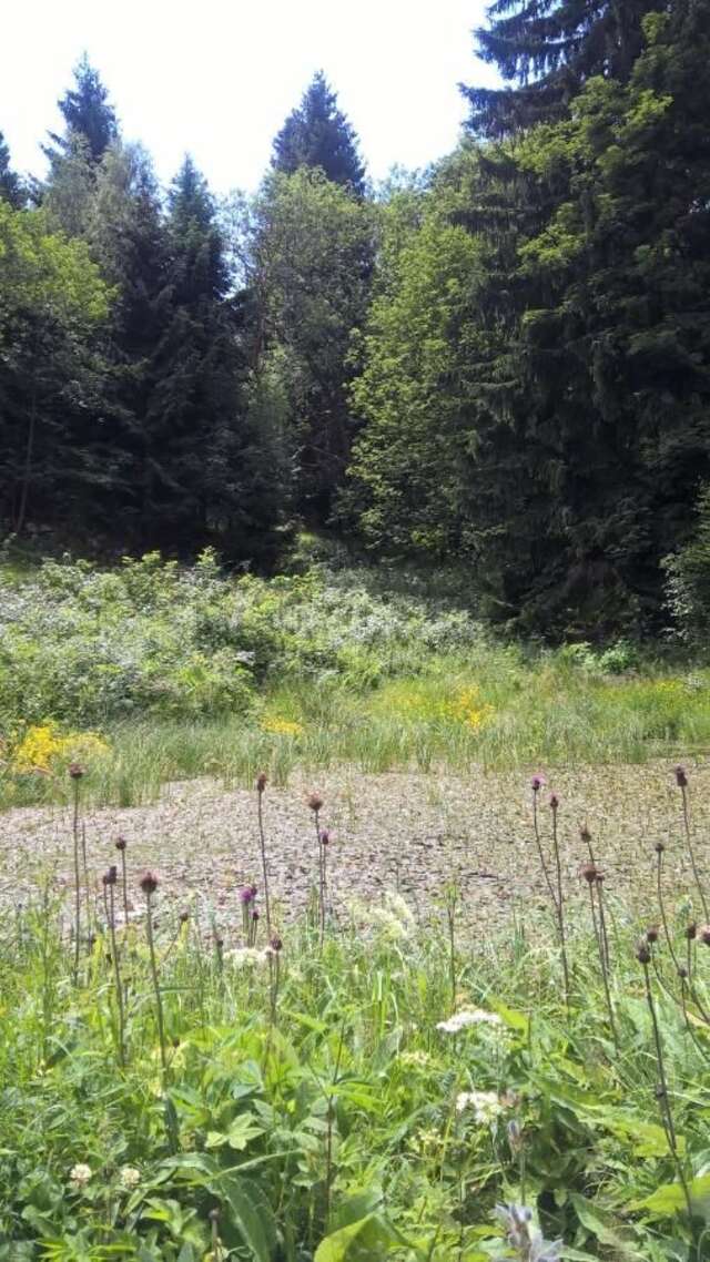 Курортные отели Dom Tatry Подгужин-31